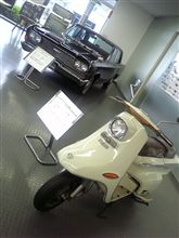 総本山でお仕事です 総本山でお仕事です