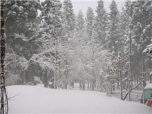湯沢は吹雪 湯沢は吹雪