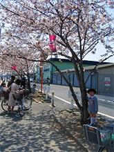 『入園式』 『入園式』