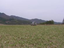 可哀想な(?)ハムスター 可哀想な(?)ハムスター