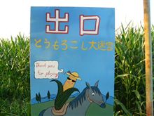 迷路に挑戦。。 迷路に挑戦。。