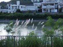 もう、秋ですか。 もう、秋ですか。