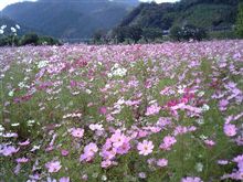 今日は会議!しかも... 今日は会議!しかも...