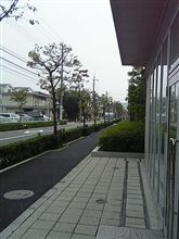 スタコ育成計画失敗→PC組みなおし計画に移行 スタコ育成計画失敗→PC組みなおし計画に移行