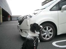 お久しぶりの登場 お久しぶりの登場