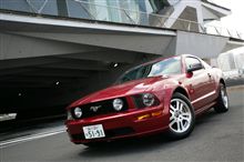 最近全然更新してなかった!! 最近全然更新してなかった!!