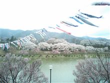 珍しく貰った 珍しく貰った
