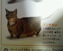 だれか~('∀'●) だれか~('∀'●)