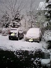 やっと雪 やっと雪