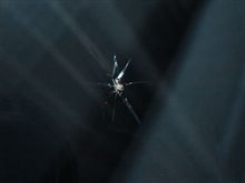 飛び石でフロントガラスにヒビ 飛び石でフロントガラスにヒビ