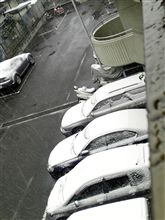 本格的な雪が。。。 本格的な雪が。。。