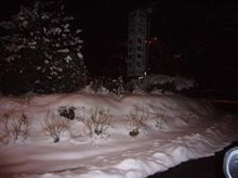 雪を見に・・・ 雪を見に・・・