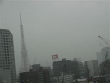 Enjoy 雪道走行 in Tokyo のつもりが・・・ Enjoy 雪道走行 in Tokyo のつもりが・・・