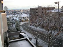 ひえびえ ひえびえ