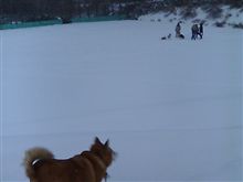 パトカーで家に送ってもらう方法((´∀`))ケラケラ パトカーで家に送ってもらう方法((´∀`))ケラケラ