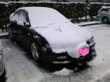 雪まみれ~(><) 雪まみれ~(><)
