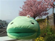 ぷら~っと ぷら~っと