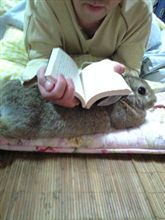 4月最初の休日 4月最初の休日