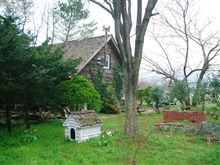 山奥のカフェ 山奥のカフェ