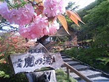 お久し振りです。 お久し振りです。