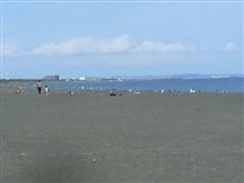 海 海