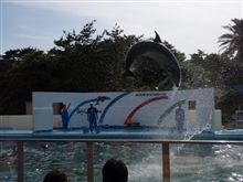 ドライブ ドライブ