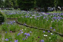水元公園、その1 水元公園、その1
