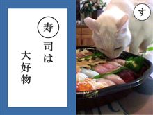 │・ω・`)<コッショリ ォハョゥ │・ω・`)<コッショリ ォハョゥ