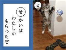 ヾ(゚皿゚O=O゚皿゚)ノ オハヨォ ヾ(゚皿゚O=O゚皿゚)ノ オハヨォ