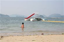 分別が面倒なら 分別が面倒なら