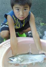 またまた魚野川の大山女魚きた~~~♂っっ!! またまた魚野川の大山女魚きた~~~♂っっ!!