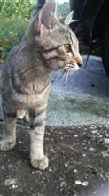 ご近所さん ご近所さん