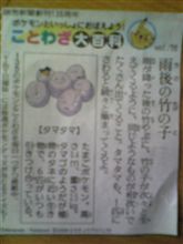 ポケモンことわざ大百科 ポケモンことわざ大百科