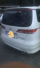 捕獲なのか? 捕獲なのか?