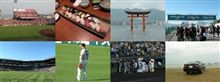 阪神戦の観戦^^ 阪神戦の観戦^^