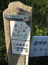 こんなナビゲーションシステムが♪ こんなナビゲーションシステムが♪