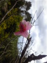 今日は寒いですね彡(-_-;)彡 今日は寒いですね彡(-_-;)彡