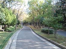 日曜恒例 日曜恒例