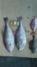 釣りロマンを求めて・・・ 第一章 釣りロマンを求めて・・・ 第一章