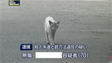 今日から 今日から
