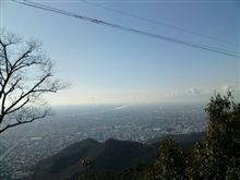ぐぅたらサクラが大変身w ぐぅたらサクラが大変身w