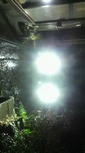 HIDその後 HIDその後