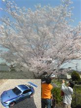 大変なコトに!!(>_<) 大変なコトに!!(>_<)
