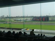 中山競馬場にやってまいりました。 中山競馬場にやってまいりました。