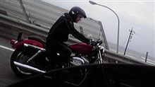 投稿写真 投稿写真