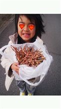 つくし つくし
