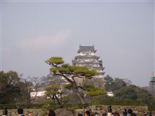 絆逝ってきました☆..。.(´∀`人) 絆逝ってきました☆..。.(´∀`人)
