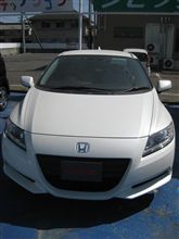 見てきました!! 見てきました!!