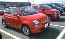 ヴィターレイタリアに参加しました ヴィターレイタリアに参加しました