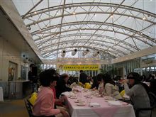 FCJ--お花見会に参加しました FCJ--お花見会に参加しました